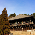 奈良　nara 隠れ家サロン　三五夜　茶道　煎茶　お茶　二月堂　焙じ茶　ほうじ茶　修二会　お水取り