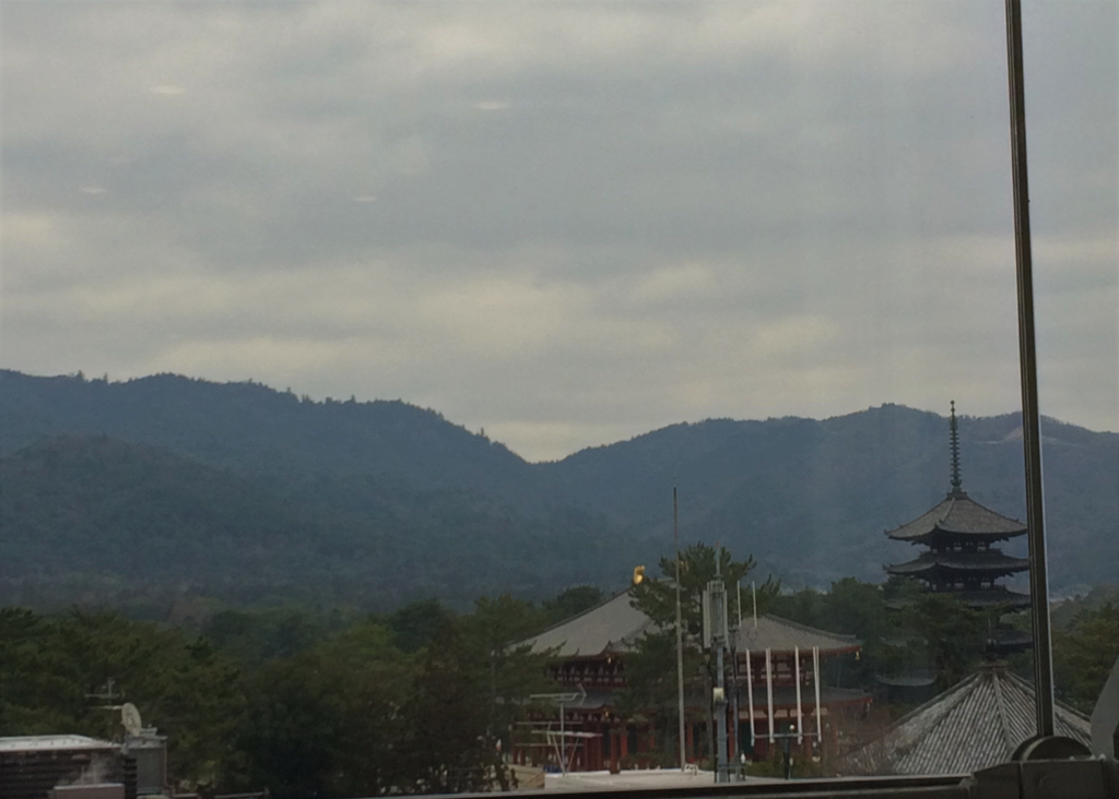 奈良 nara 隠れ家サロン 三五夜 茶道 茶の湯 お茶 抹茶 曜変天目 茶碗 藤田美術館 MIHOMUSEUM 静嘉堂文庫美術館 国宝 国宝の殿堂 JR奈良駅 徒歩2分 三網田 興福寺 中金堂 五重塔