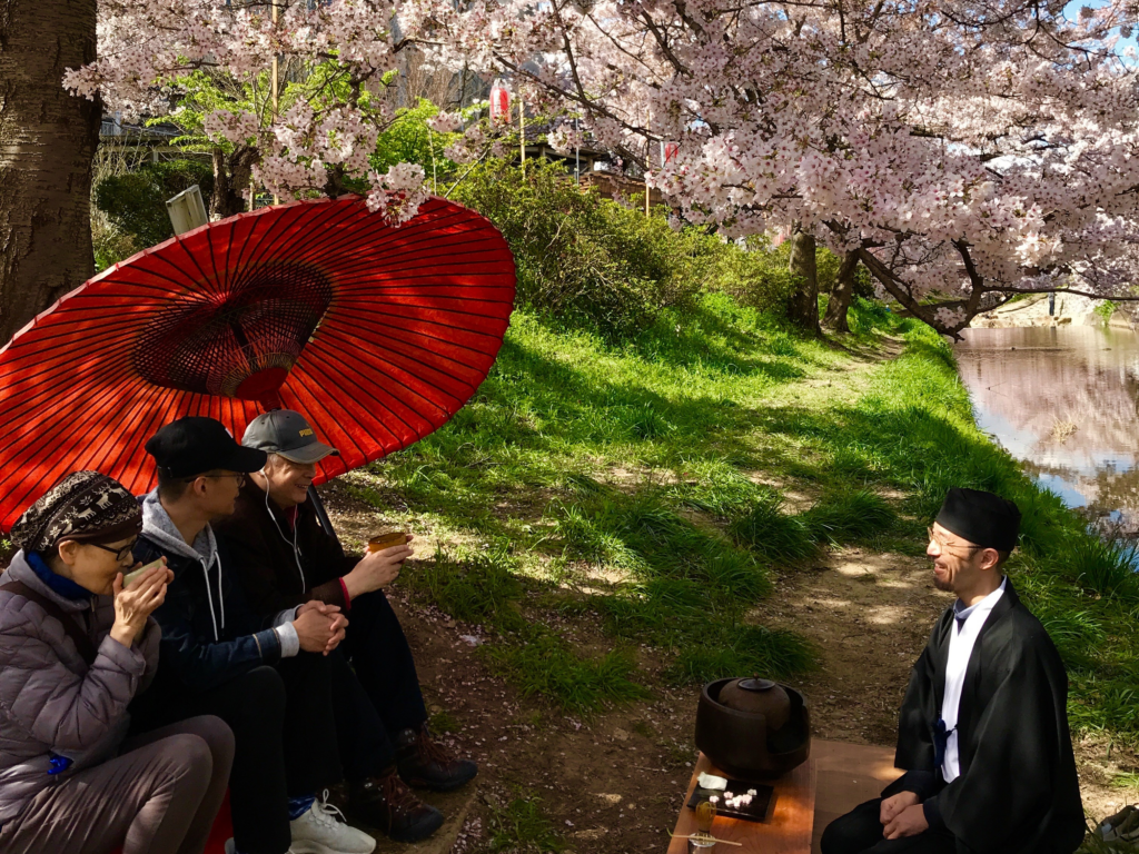 奈良　nara 三五夜　桜　さくら　花見　佐保川　茶道　茶の湯　野点　野立て　抹茶　春　春の小川　JR奈良駅　徒歩　2分　三網田　茶道教室　表千家