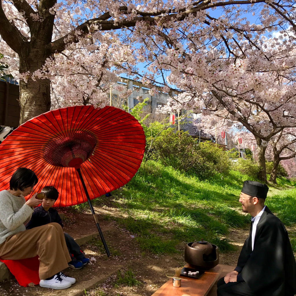 奈良　nara 三五夜　桜　さくら　花見　佐保川　茶道　茶の湯　野点　野立て　抹茶　春　春の小川　JR奈良駅　徒歩　2分　三網田　茶道教室　表千家
