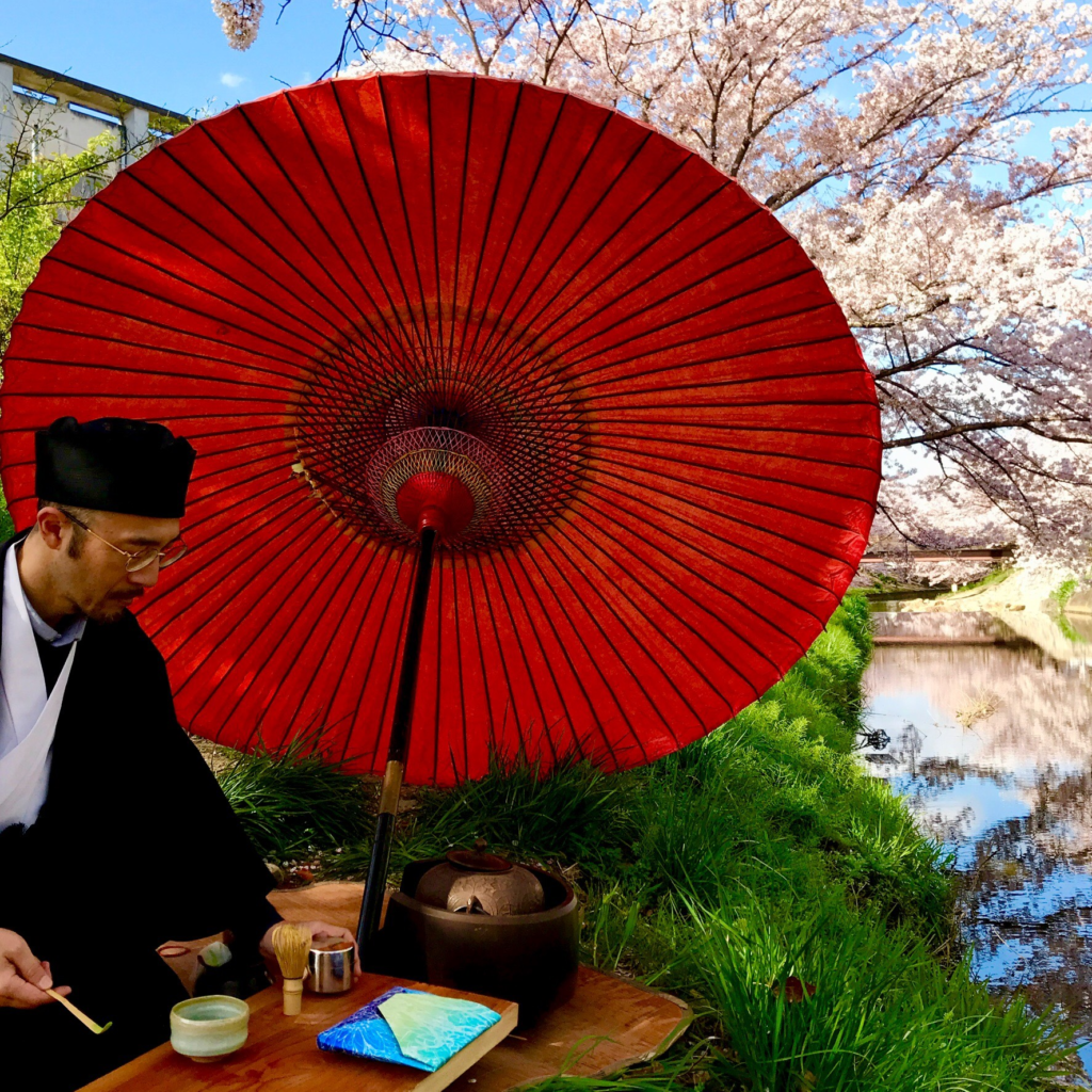 奈良　nara 三五夜　桜　さくら　花見　佐保川　茶道　茶の湯　野点　野立て　抹茶　春　春の小川　JR奈良駅　徒歩　2分　三網田　茶道教室　表千家　数寄屋袋　石賀直之
