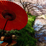 奈良　nara 三五夜　桜　さくら　花見　佐保川　茶道　茶の湯　野点　野立て　抹茶　春　春の小川　JR奈良駅　徒歩　2分　三網田　茶道教室 　表千家 数寄屋袋　石賀直之