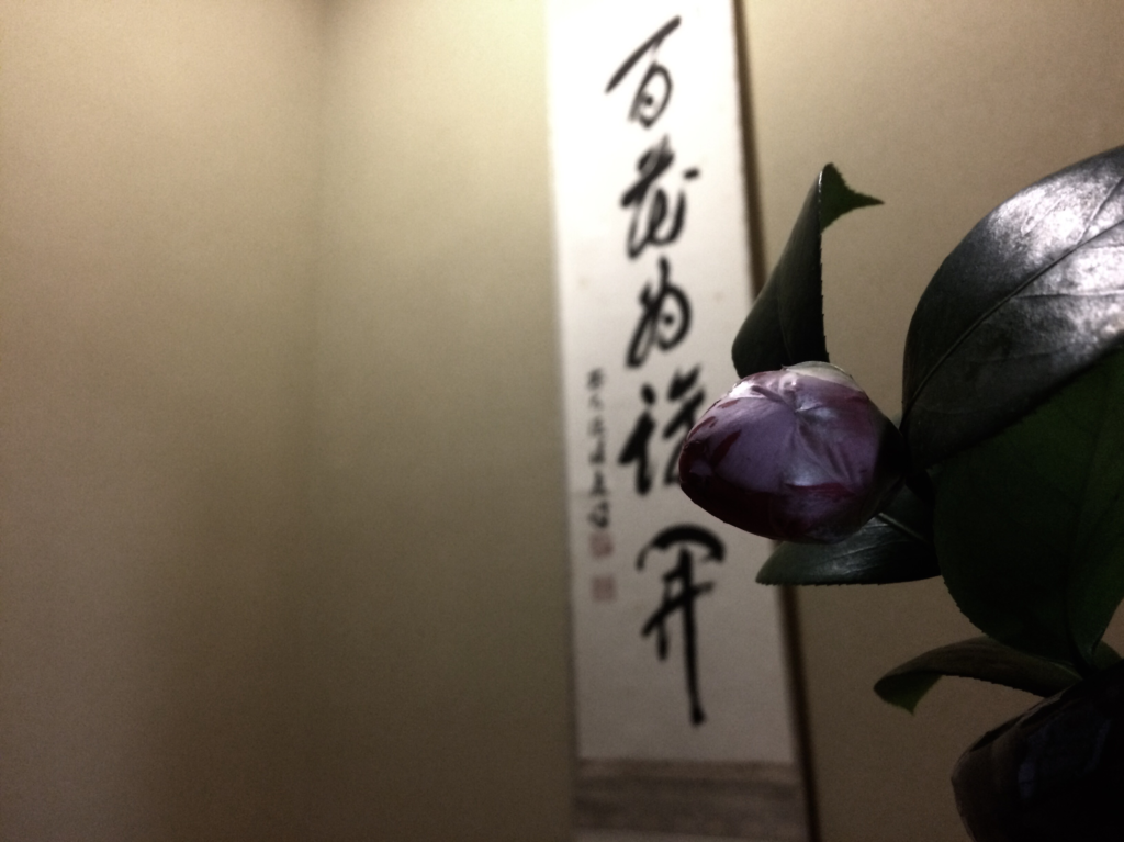 奈良 nara 三五夜 隠れ家 茶道 茶道教室 表千家 表千家茶道教室 茶の湯 茶室 にじり口 少人数制 お稽古 百花為誰開 掛け軸 床の間 椿 掛け花 茶花
