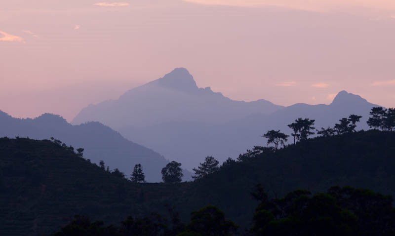 鳳凰 鳳凰単叢 奈良 三五夜 隠れ家 茶会 茶室 煎茶道 煎茶道教室 煎茶教室 煎茶会 煎茶席 中国茶 中国茶会 烏龍茶