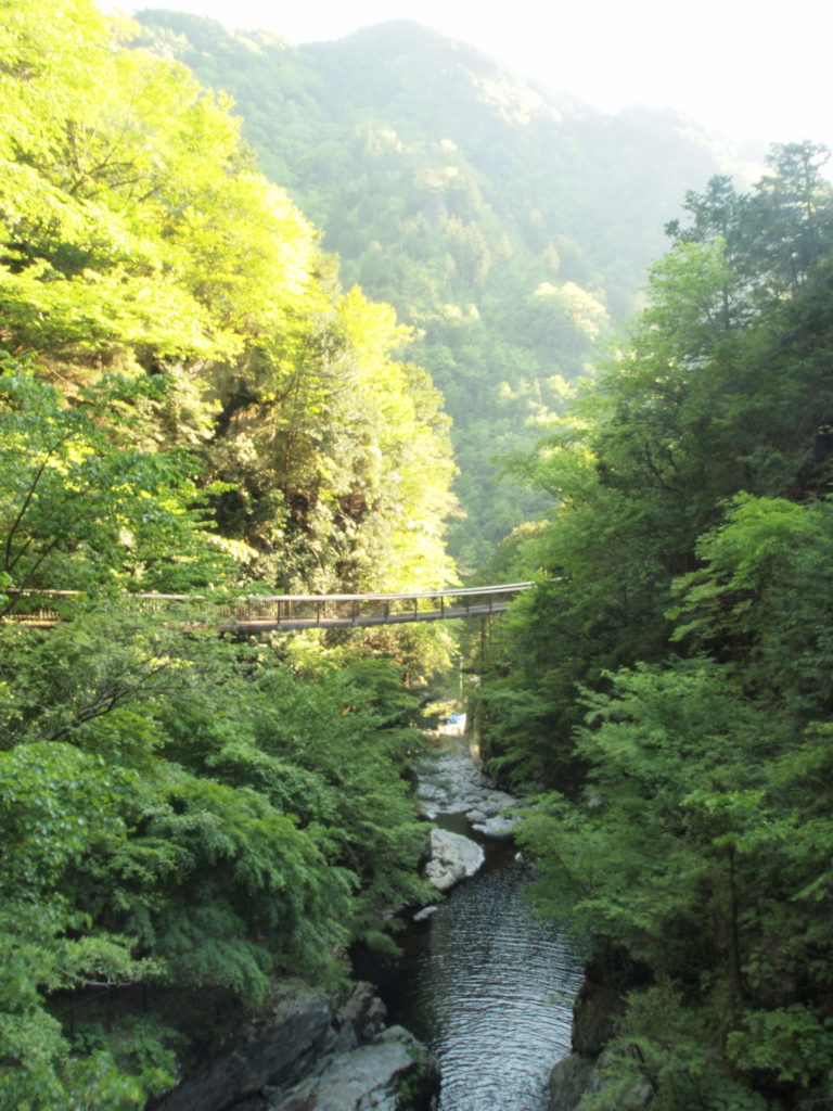 奈良 nara 三五夜 天河大弁財天社 天川村 弁財天 茶道 煎茶道 お茶 煎茶体験 煎茶道体験 JR奈良駅 徒歩 2分 三網田 龍 龍神 奥大和 みたらい渓谷 渓谷 山と渓谷 渓流 滝 新緑 青楓