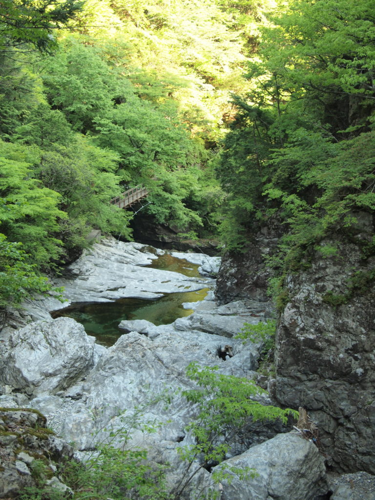 奈良 nara 三五夜 天河大弁財天社 天川村 弁財天 茶道 煎茶道 お茶 煎茶体験 煎茶道体験 JR奈良駅 徒歩 2分 三網田 龍 龍神 奥大和 みたらい渓谷 渓谷 山と渓谷 渓流 滝 新緑 青楓
