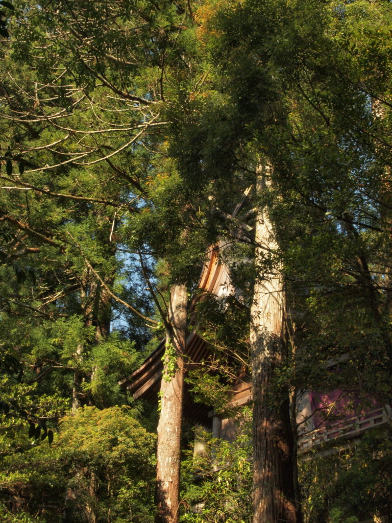 奈良 nara 三五夜 天河大弁財天社 天川村 弁財天 茶道 煎茶道 お茶 煎茶体験 煎茶道体験 JR奈良駅 徒歩 2分 三網田 龍 龍神 奥大和