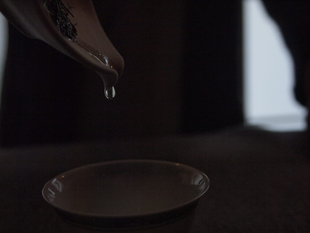 京都 KYOTO 東寺 青楓 新緑 奈良 三五夜 茶室 月釜 茶道 茶の湯 間 Ma 茶皿 ティアス宗筅 雁金 玉露