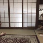 奈良　nara 隠れ家　三五夜　茶会　イベント　奈良県大芸術祭　ポルトガルギター　山本真也　アロマ　アロマセラピー　アロマテラピー　辻本幸子　大和郡山　朝日新聞　五感で感じる芸術の秋　精油　香り　演奏会　ギター　紅茶　tea ＪＲ奈良駅　徒歩　2分　三網田