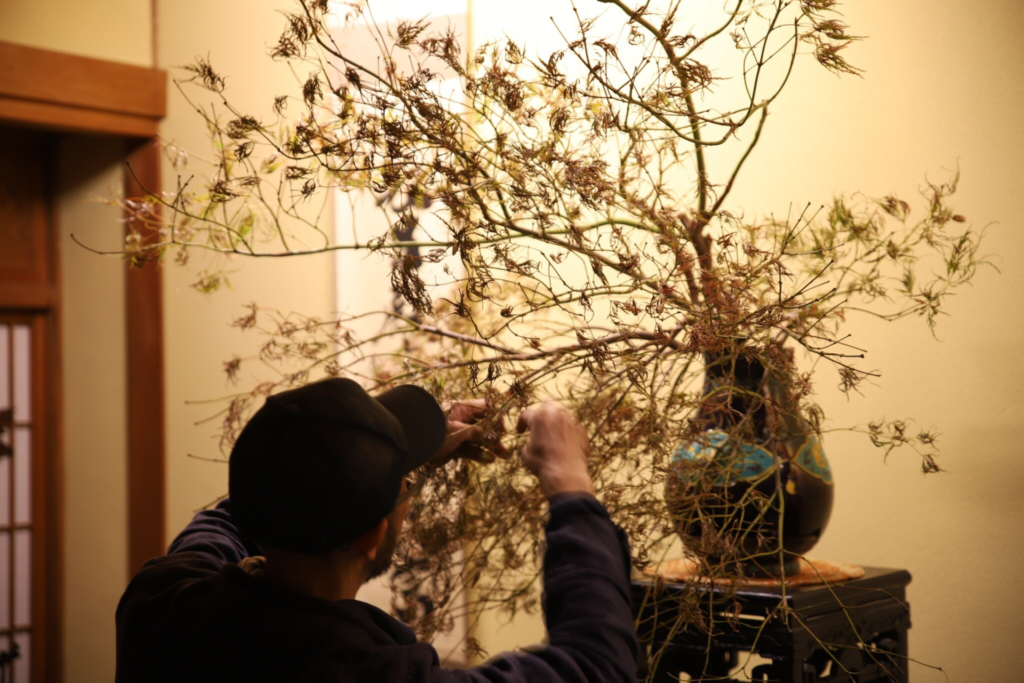 奈良 nara 三五夜 隠れ家 茶会 月釜 茶席 茶室 茶道 茶の湯 お茶 濃茶 薄茶 続き薄 お点前 高麗台子 三十六歌仙 京都 京都国立博物館 佐竹本 炉開き 炉 釜 茶の正月 口切りの茶事 趣向 煎茶道 柚子 上生菓子 和菓子 干菓子 お祝い 御祝 JR奈良駅 徒歩 2分 三網田 もみじ
紅枝垂れ紅葉 ベニシダレモミジ
羽衣紅葉 ハゴロモモミジ