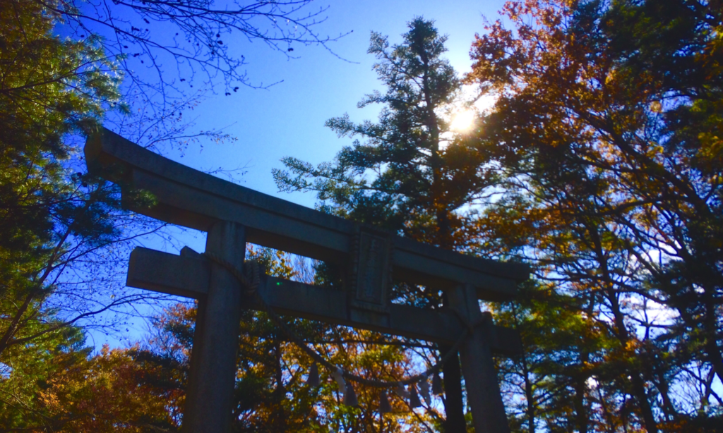 奈良　nara 十津川　十津川村　玉置神社　神武天皇　神武東征　パワースポット　聖地　聖地巡礼　紅葉　秋　玉置山　鳥居　錦秋の秋　神話　大嘗祭　雅楽　煎茶道　煎茶会　玉露　熊野