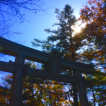 奈良　nara 十津川　十津川村　玉置神社　神武天皇　神武東征　パワースポット　聖地　聖地巡礼　紅葉　秋　玉置山　鳥居　錦秋の秋　神話　大嘗祭　雅楽　煎茶道　煎茶会　玉露　熊野