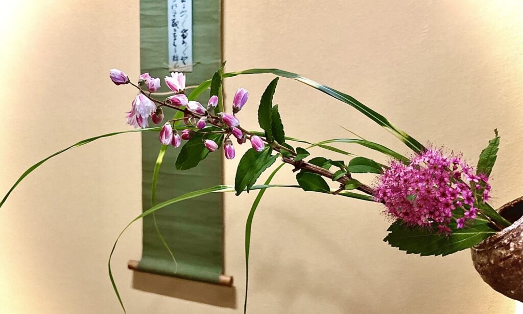 奈良　茶道　体験　nara 三五夜　さんごや　三五屋　茶会　茶室　隠れ家　にじり口　炭　風炉　掛軸　茶道具　JR奈良駅　駅前　月釜　徒歩圏内　奈良県　奈良市　三網田　濃茶　薄茶　続き薄　茶道具　茶道具販売　8月　葉月　八月　　広間　夏　観光　奈良新名所　奈良県　伝統文化　日本文化　少人数制　小寄せ　ゆったり　濃茶　薄茶　各服点て　上生菓子　干菓子　JR奈良駅 tea teaceremony teaceremonyroom experience　上質　体験　茶道体験　煎茶　玉露　ｍatcha　mcookinglabo mclケーキ教室　料理教室 　mcookinglabolatory お菓子教室　洋菓子　焼菓子　干菓子　主菓子　萬林堂　サクラウツギ　シモツケ　ヤハズススキ　掛け花　茶花　掛軸　山村御流　華道　いけばな　圓照寺　円照寺　山村御殿　山本静山　尼門跡　大和三門跡　中宮寺　法華寺　皇室　門跡寺院　歌会始　勅題　御題　昭和38年　草原　短冊　有栖川流　和歌　曽爾高原　キントン　若草　若葉　青楓　新緑　清水六兵衛　5代目　襲名　襲名記念　菓子鉢　瓢　京焼　〇　△　□　仙厓　禅語　ギャラリー　古美術　アンティーク　antique　販売　格安　販売　予約制　少人数制　小寄せ茶会　隠れ家　カフェ　古民家　コーヒー　カウンター　大和茶　イベント　催し物　chatgpt AI　IT 　人工知能　台湾茶　紅茶