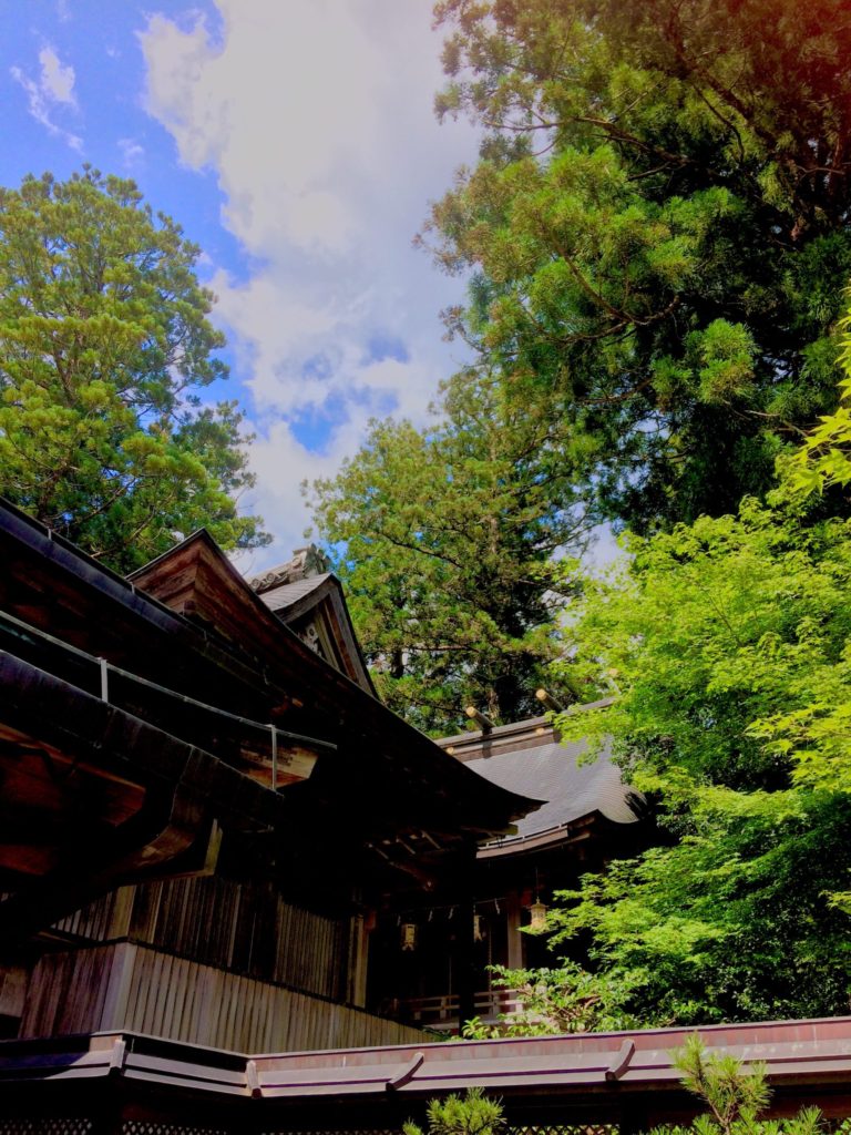 奈良 なら nara 奈良県 天河大弁財天社 天川 天川村 パワースポット 芸能の神様 神社 神聖 参拝 昇殿参拝 天の川温泉 雅楽 篳篥 諸芸上達 祈願 茶道 茶の湯 お茶 煎茶道 煎茶 煎茶道体験 煎茶体験 玉露 隠れ家 三五夜 三五屋 さんごや 古民家 茶室 にじり口 茶会 月釜 少人数制 予約制 小寄せ 濃茶 各服点て 薄茶 続き薄 上生菓子 干菓子 茶道教室 表千家茶道教室 華道 いけばな教室 華道教室 雅楽教室 お稽古 習い事 和の習い事 伝統文化 日本の伝統 伝統芸術 教室 JR奈良 駅前 徒歩2分 近鉄奈良 徒歩圏内 新大宮 奈良市 三条町 三網田 わらび皿 奈良名物 わらび餅 春日大社 赤膚焼 やきもの 陶芸 鹿 春日鹿 三輪山 大神神社 巻向 三輪 JR桜井線 ローカル線 万葉まほろば線