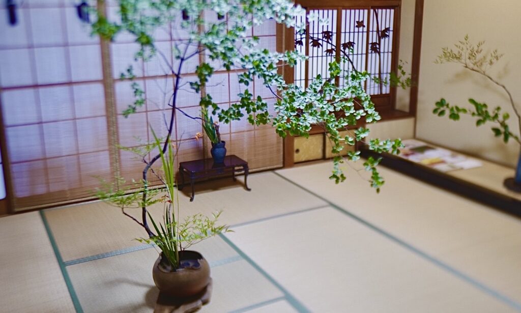 奈良 なら nara 奈良市 奈良駅 JR奈良 駅前 駅近 徒歩2分 三条町 三五夜 さんごや sangoya 古民家 日本家屋 茶室 茶道 茶の湯 月釜 三五夜月釜 茶会 華道 華道教室 いけばな 生花 いけ花 生駒敦 フラワーアーティスト フラワーデザイン いけばな教室 少人数制 予約制 ワークショップ 枝物 枝 枝物のある暮らし いけ花のある暮らし 習い事 お稽古 月1回 会費制 花会 和のお稽古 伝統文化 伝統芸能 ふふ奈良 セトレならまち 彩花 生け込み お花 夏ハゼ ナツハゼ なつはぜ 櫨 ウリバ ウリバカエデ 京かのこ 京鹿子 キョウカノコ シモツケ センダイハギ 花瓶 瓶花 瓶華 奈良のいけばな 流派 花展 カウンター カフェ 中宮寺御流 華道 山村御流 生駒瓢泉 壺中天 いけばな展 華展 入場無料 出入り自由 呈茶 呈茶席 抹茶 抹茶セット 和風カフェ 古民家カフェ 隠れ家カフェ 期間限定 限定オープン アトリエノーズ 香り お香 ワークショップ イベント 立石賢一 線香 ムーンゴッドコーヒー 珈琲 間借りカフェ レンタルキッチン シェアキッチン 空間レンタル 場所貸し 貸しスペース ならナビ NHK奈良 NHK ぐるっと関西おひるまえ NHK大阪
田中愛理 アトリエノーズ moongodcoffee テレビ 取材 撮影 放送 テレビ放映 藤蔓