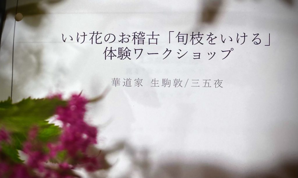 奈良　なら　nara 奈良市　奈良駅　JR奈良　駅前　駅近　徒歩2分　三条町　三五夜　さんごや　sangoya　古民家　日本家屋　茶室　茶道　茶の湯　月釜　三五夜月釜　茶会　華道　華道教室　いけばな　生花　いけ花　生駒敦　フラワーアーティスト　フラワーデザイン　いけばな教室　少人数制　予約制　ワークショップ　枝物　枝　枝物のある暮らし　いけ花のある暮らし　習い事　お稽古　　 月1回　会費制　花会　和のお稽古　伝統文化　伝統芸能　ふふ奈良　セトレならまち　彩花　生け込み　　 お花 夏ハゼ　ナツハゼ　なつはぜ　櫨　ウリバ　ウリバカエデ　京かのこ　京鹿子　キョウカノコ　シモツケ　センダイハギ　花瓶　瓶花　瓶華　奈良のいけばな　流派　花展　カウンター　カフェ　　一華開五葉　中宮寺　日野西光尊　尼門跡　中宮寺御流　華道　山村御流　生駒瓢泉　壺中天