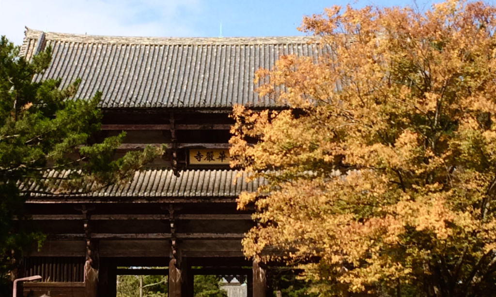 奈良 なら nara 奈良市 奈良県 月釜 茶会 月釜 茶の湯 茶道 お茶 茶席 小寄せ 大寄せ 大茶会 炉開き 炉 風炉 茶室 にじり口 濃茶 薄茶 続き薄 上生菓子 和菓子 干菓子 丸久小山園 金輪 口切り 茶碗 赤膚焼 正倉院展 奈良国立博物館 秋 秋の奈良 観光 Gotoトラベル Gotoキャンペーン 旅行 観光 紅葉 もみじ 銀杏 イチョウ 東大寺 南大門 興福寺 五重塔 若草山 鹿 三五夜 三五屋 さんごや 古美術 サロン JR奈良 駅前 徒歩2分 近鉄奈良 徒歩圏内 錦秋 三条町 三網田 三条通り 春日大社 御蓋山 奈良盆地 風景 写真 カメラ
