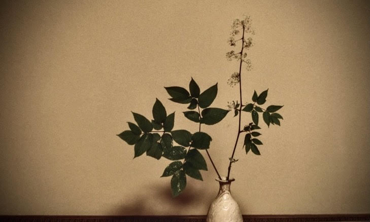 奈良 なら nara 三五夜 三五屋 さんごや sangoya 隠れ家 サロン 茶の湯 茶道 煎茶道 煎茶道体験 煎茶道教室 教室 和の稽古 お稽古 習い事 茶会 月釜 濃茶 各服点て 薄茶 上生菓子 干菓子 和菓子 ほっこり のんびり 奈良の秘密スポット JR奈良 奈良駅 旧奈良駅駅舎 駅前 駅近 徒歩2分 徒歩圏内 古民家 古民家リノベーション 改装 和室 大正レトロ レトロモダン 料亭 茶室 にじり口 小間 広間 座敷 茶事 表千家茶道 表千家茶道教室 古典 奈良市三条町 伝統 茶道具 アフターコロナ 感染予防対策 ワクチンパスポート ワクチン接種済 ワクチン接種証明 香会 雅楽 個別レッスン 初心者歓迎 呼び継ぎ 蓋置 水指 瀬戸焼 蕎麦手 炭壺 火消し壺 仕覆 即中斎 即中斎好み 大板 小間 和服 着物 袴 白洲正子 白洲次郎 水晶 古橋尚 長江惣吉 曜変天目 国宝 古筆 古陶磁 陶芸家 加藤春鼎 石 古美術収集家 古美術愛好家 名古屋 手紙 白洲正子によせて 鶴屋八幡 曙会 特別茶会 萬々堂道則 糊こぼし 和菓子 薯蕷饅頭 干菓子 やなぎのにわ京菓子店 江見智彦 三島葉子 フードコーディネーター 洋菓子 春鶯囀 篳篥 竜笛 奈良新聞社 奈良新聞 紙面掲載 記事 奈良市イベント情報 随筆家 道 山独活 ヤマウド 紫蘭 シラン 小川珊瑚鶴 華道家 菓子職人 樺山資紀