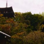 奈良　なら　nara　三五夜　三五屋　さんごや　sangoya　隠れ家　サロン　茶の湯　茶道　煎茶道　煎茶道体験　煎茶道教室　教室　和の稽古　お稽古　習い事　茶会　月釜　濃茶　各服点て　薄茶　上生菓子　干菓子　和菓子　ほっこり　のんびり　奈良の秘密スポット　JR奈良　奈良駅　旧奈良駅駅舎　駅前　駅近　徒歩2分　徒歩圏内　古民家　古民家リノベーション　改装　和室　大正レトロ　レトロモダン　料亭　茶室　にじり口　小間　広間　座敷　茶事　表千家茶道　表千家茶道教室　古典　奈良市三条町　伝統　茶道具　　アフターコロナ　感染予防対策　ワクチン接種済　ワクチン接種証明　風炉　名残　神無月　奈良の秋　大和路　法隆寺　柿食えば　柿寿賀　棗濃茶　詫び寂び　侘茶　わび　中置　細水指　星野製茶園　猶有斎好み　星光の昔　九州　ホトトギズ　古寺巡礼　当麻寺　　　　
