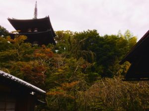 奈良　なら　nara　三五夜　三五屋　さんごや　sangoya　隠れ家　サロン　茶の湯　茶道　煎茶道　煎茶道体験　煎茶道教室　教室　和の稽古　お稽古　習い事　茶会　月釜　濃茶　各服点て　薄茶　上生菓子　干菓子　和菓子　ほっこり　のんびり　奈良の秘密スポット　JR奈良　奈良駅　旧奈良駅駅舎　駅前　駅近　徒歩2分　徒歩圏内　古民家　古民家リノベーション　改装　和室　大正レトロ　レトロモダン　料亭　茶室　にじり口　小間　広間　座敷　茶事　表千家茶道　表千家茶道教室　古典　奈良市三条町　伝統　茶道具　　アフターコロナ　感染予防対策　ワクチン接種済　ワクチン接種証明　風炉　名残　神無月　奈良の秋　大和路　法隆寺　柿食えば　柿寿賀　棗濃茶　詫び寂び　侘茶　わび　中置　細水指　星野製茶園　猶有斎好み　星光の昔　九州　ホトトギズ　古寺巡礼　当麻寺　　　　