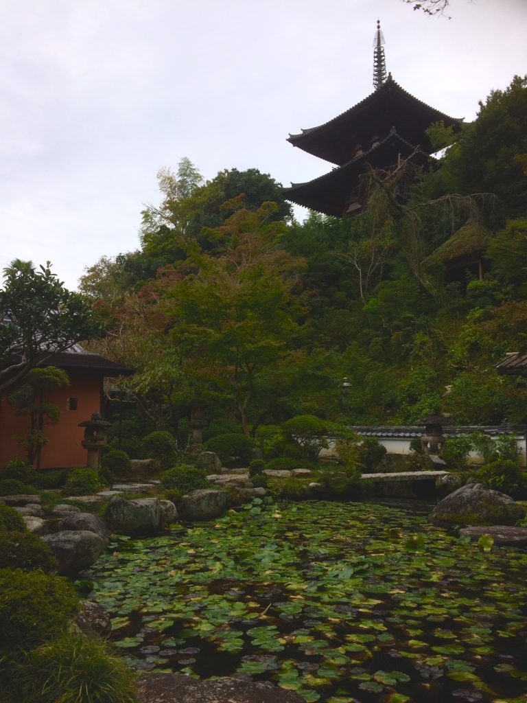 奈良 なら nara 三五夜 三五屋 さんごや sangoya 隠れ家 サロン 茶の湯 茶道 煎茶道 煎茶道体験 煎茶道教室 教室 和の稽古 お稽古 習い事 茶会 月釜 濃茶 各服点て 薄茶 上生菓子 干菓子 和菓子 ほっこり のんびり 奈良の秘密スポット JR奈良 奈良駅 旧奈良駅駅舎 駅前 駅近 徒歩2分 徒歩圏内 古民家 古民家リノベーション 改装 和室 大正レトロ レトロモダン 料亭 茶室 にじり口 小間 広間 座敷 茶事 表千家茶道 表千家茶道教室 古典 奈良市三条町 伝統 茶道具 アフターコロナ 感染予防対策 ワクチン接種済 ワクチン接種証明 風炉 名残 神無月 奈良の秋 大和路 法隆寺 柿食えば 柿寿賀 棗濃茶 詫び寂び 侘茶 わび 中置 細水指 星野製茶園 猶有斎好み 星光の昔 九州 ホトトギズ 古寺巡礼 当麻寺 苔 苔 紅葉 モミジ