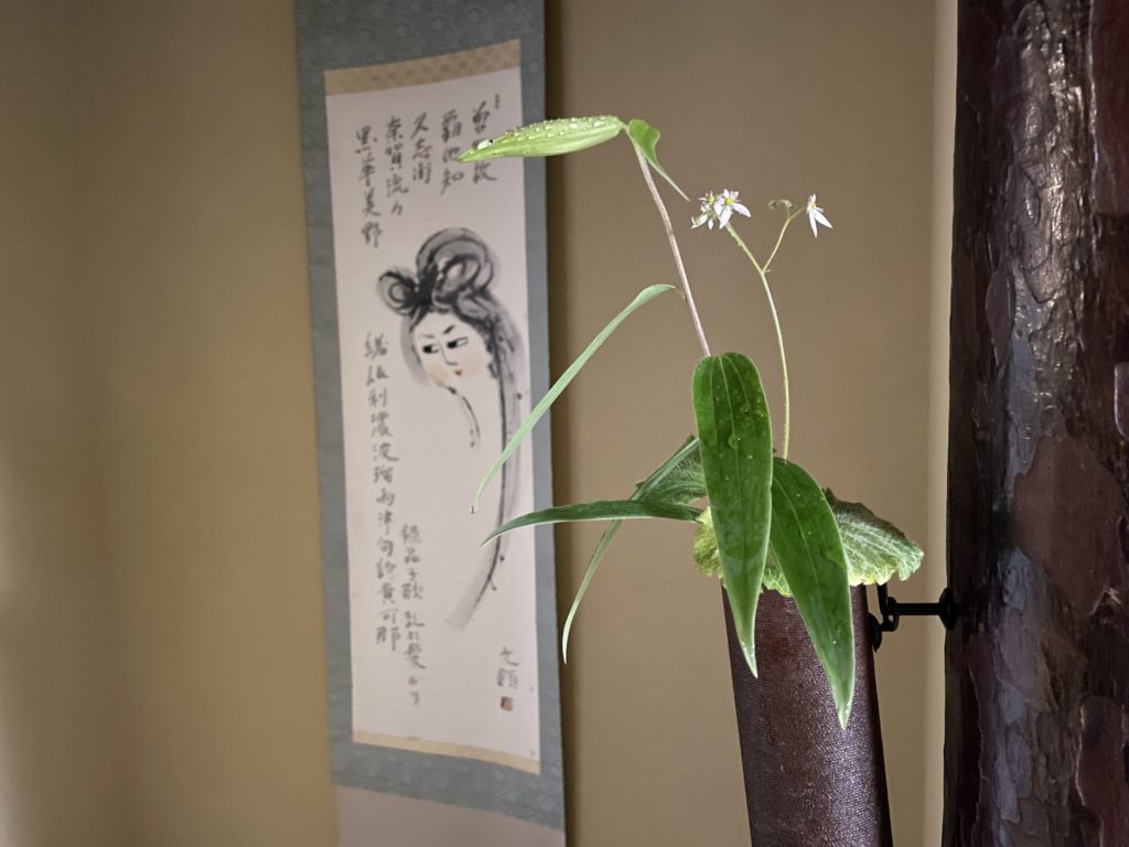 奈良 なら nara 奈良市 奈良駅 JR奈良 駅前 駅近 徒歩2分 三条町 三五夜 さんごや sangoya 古民家 日本家屋 茶室 茶道 茶の湯 月釜 三五夜月釜 茶会 華道 華道教室 いけばな 生花 いけ花 カフェ 茶房 厨房 レンタルキッチン シェアキッチン 出張料理人 フリーランス 料理人 バーテンダー パティシエ 募集中 人材募集 見学 下見 レンタル茶室 カウンター 堂後茶道教室 堂後宗邑 表千家 表千家茶道教室 茶事教室 茶事稽古 茶道具 初座 後座 中立 銅鑼 小間 蹲 後炭 濃茶 薄茶 一保堂 丸久小山園 抹茶 煎茶 奈良観光 奈良の隠れ家 紅茶 紅茶会 ダージリン ダージリンファーストフラッシュ ファーストフラッシュ 松村昌也 マリアージュフレール バスクチーズケーキ チーズケーキ 萬林堂 パン教室 moriya 信楽 高橋楽斎 水指 朝鮮風炉 畑春斎 中棗 棗の濃茶 点前 仕覆 与謝野晶子 みだれ髪 その子二十歳 櫛に流るる黒髪の 奢りの春の 美しきかな 笹百合 ささゆり ササユリ ユキノシタ ゆきのした 率川神社 ゆり祭り 大神神社 白桜忌 堺 湊焼 太田湊楽 黒楽 茶碗