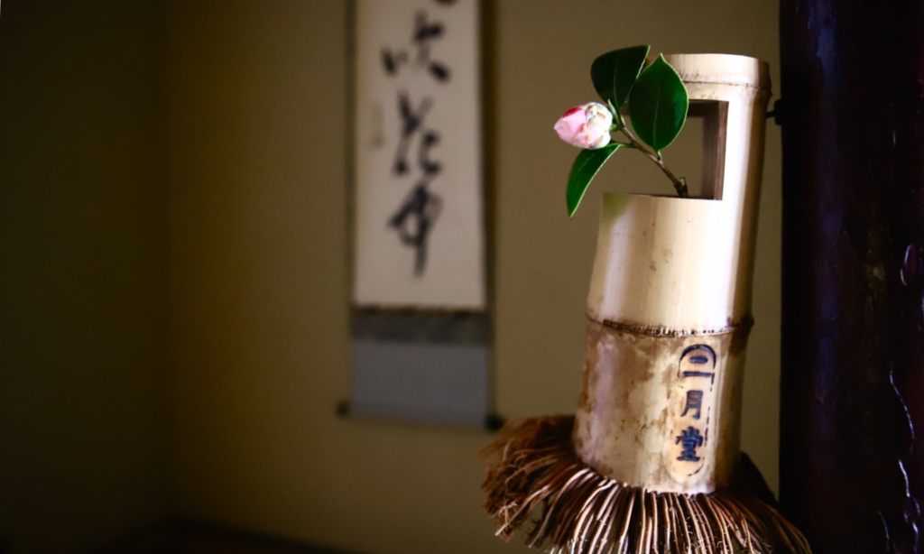 奈良 nara 三五夜 さんごや 三五屋 茶会 茶室 隠れ家 にじり口 炭 炉 掛軸 椿 ツバキ 茶道具 JR奈良駅 駅前 月釜 徒歩圏内 奈良県 奈良市 三網田 濃茶 薄茶 続き薄 茶道具 茶道具販売 上生菓子 和菓子 干菓子 茶の湯 丸久小山園 小人数 人気茶会 奈良散策 冬の奈良 ほっこり 少人数 ゆったり 弥生 中西与三郎 すはま オリジナル 佐保川 佐保姫 修二会 お水取り のりこぼし 包袱紗 東大寺 二月堂 良弁椿 練行衆 鞨鼓 鞨鼓胴花入 螺鈿細工 上司海雲 東大寺管長 206代 東大寺別当206世 海雲和尚 七難即滅七福即生 掛け軸 床の間 床飾り 設え しつらえ 古民家 近鉄奈良 染司よしおか 和紙 奈良青紫園 萬々堂通則 和菓子 上生菓子 差懸 中田文花 お松明 本席 小間茶室 床の間 春風吹花中 堀内宗心 兼中斎 茶掛け 東大寺古材 香合 割香合 二月堂焼印 松明花入れ