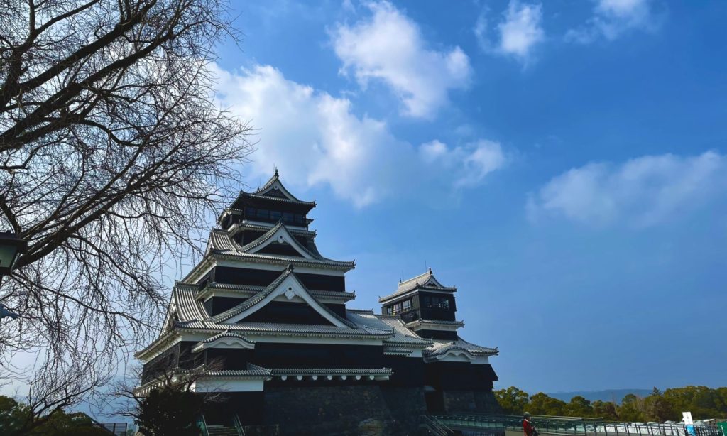 奈良　なら　nara　三五夜　三五屋　さんごや　sangoya　隠れ家　サロン　茶の湯　茶道　煎茶道　煎茶道体験　煎茶道教室　教室　和の稽古　お稽古　習い事　茶会　月釜　濃茶　各服点て　薄茶　上生菓子　干菓子　和菓子　ほっこり　のんびり　奈良の秘密スポット　JR奈良　奈良駅　旧奈良駅駅舎　駅前　駅近　徒歩2分　徒歩圏内　古民家　古民家リノベーション　改装　和室　大正レトロ　レトロモダン　料亭　茶室　にじり口　小間　広間　座敷　茶事　表千家茶道　表千家茶道教室　古典　奈良市三条町　伝統　茶道具　　アフターコロナ　感染予防対策　ワクチン接種済　ワクチン接種証明　炉　名残　師走　奈良の冬　濃茶　侘び寂び　侘茶　わび　奈良の旅　珠光茶会2022中止　　珠光茶会2022　弥生　三月　奈良観光　春の奈良　　趣向　設え　少人数　個室　予約制　 肥後古流　江上大輔　八代　書家　茶人　東京　龍生庵　府中　東京芸術大学　大学院　鑑賞　欠伸茶会　細川家　熊本藩　細川藩　熊本城　細川三斎　細川忠興　細川幽斎　細川藤孝　細川忠利　松井友閑　松井康之　八代松井家　表千家　而妙斎　猶々斎　特別茶会　雅楽　武家茶　武家茶道　遠州流　片桐石州　小堀遠州　舟越伊予守　宗旦　千家　古儀　大宰府　藤丸　和菓子　清香殿