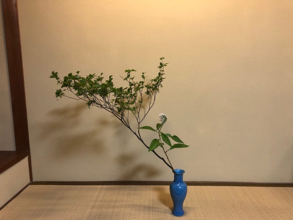 奈良 なら nara 奈良市 奈良駅 JR奈良 駅前 駅近 徒歩2分 三条町 三五夜 さんごや sangoya 古民家 日本家屋 茶室 茶道 茶の湯 月釜 三五夜月釜 茶会 華道 華道教室 いけばな 生花 いけ花 生駒敦 フラワーアーティスト フラワーデザイン いけばな教室 少人数制 予約制 ワークショップ 枝物 枝 枝物のある暮らし いけ花のある暮らし 習い事 お稽古 月1回 会費制 花会 和のお稽古 伝統文化 伝統芸能 ふふ奈良 セトレならまち 彩花 生け込み お花 夏ハゼ ナツハゼ なつはぜ 櫨 ウリバ ウリバカエデ 京かのこ 京鹿子 キョウカノコ シモツケ センダイハギ 花瓶 瓶花 瓶華 奈良のいけばな 流派 花展 カウンター カフェ 一華開五葉 中宮寺 日野西光尊 尼門跡 中宮寺御流 華道 山村御流 生駒瓢泉 壺中天 ドウダンツツジ ヤマブキショウマ オカトラノオ