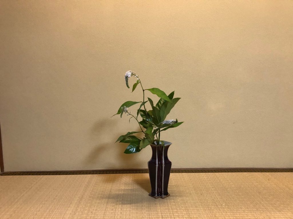 奈良 なら nara 奈良市 奈良駅 JR奈良 駅前 駅近 徒歩2分 三条町 三五夜 さんごや sangoya 古民家 日本家屋 茶室 茶道 茶の湯 月釜 三五夜月釜 茶会 華道 華道教室 いけばな 生花 いけ花 生駒敦 フラワーアーティスト フラワーデザイン いけばな教室 少人数制 予約制 ワークショップ 枝物 枝 枝物のある暮らし いけ花のある暮らし 習い事 お稽古 月1回 会費制 花会 和のお稽古 伝統文化 伝統芸能 ふふ奈良 セトレならまち 彩花 生け込み お花 夏ハゼ ナツハゼ なつはぜ 櫨 ウリバ ウリバカエデ 京かのこ 京鹿子 キョウカノコ シモツケ センダイハギ 花瓶 瓶花 瓶華 奈良のいけばな 流派 花展 カウンター カフェ 一華開五葉 中宮寺 日野西光尊 尼門跡 中宮寺御流 華道 山村御流 生駒瓢泉 壺中天 ドウダンツツジ ヤマブキショウマ オカトラノオ
