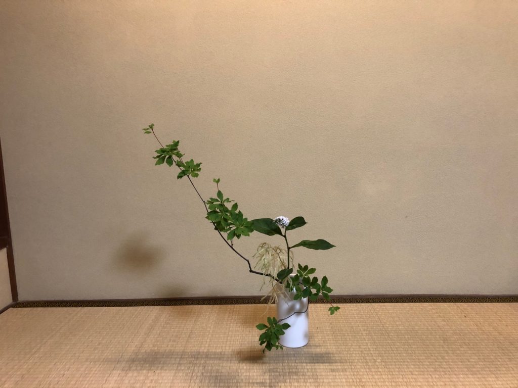 奈良 なら nara 奈良市 奈良駅 JR奈良 駅前 駅近 徒歩2分 三条町 三五夜 さんごや sangoya 古民家 日本家屋 茶室 茶道 茶の湯 月釜 三五夜月釜 茶会 華道 華道教室 いけばな 生花 いけ花 生駒敦 フラワーアーティスト フラワーデザイン いけばな教室 少人数制 予約制 ワークショップ 枝物 枝 枝物のある暮らし いけ花のある暮らし 習い事 お稽古 月1回 会費制 花会 和のお稽古 伝統文化 伝統芸能 ふふ奈良 セトレならまち 彩花 生け込み お花 夏ハゼ ナツハゼ なつはぜ 櫨 ウリバ ウリバカエデ 京かのこ 京鹿子 キョウカノコ シモツケ センダイハギ 花瓶 瓶花 瓶華 奈良のいけばな 流派 花展 カウンター カフェ 一華開五葉 中宮寺 日野西光尊 尼門跡 中宮寺御流 華道 山村御流 生駒瓢泉 壺中天 ドウダンツツジ ヤマブキショウマ オカトラノオ