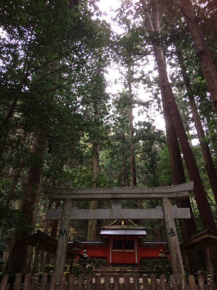 奈良 なら nara 奈良県 室生龍穴神社 龍穴神社 龍 竜 龍神 パワースポット 吉祥龍穴 雅楽 篳篥 室生 安騎野 万葉集 宇陀市 大宇陀 安騎野猟遊歌 柿本人麻呂 人麻呂公園 室生寺 神宮寺 雨 雨乞い 勅使 猿沢池 天岩戸 東の野にかぎろひの立つ 東の野に炎の立つ見て かへりて見れば月傾きぬ 東野炎立所見而反見為者月西渡 茶道教室 表千家茶道教室 奈良駅 駅前 徒歩2分 近鉄奈良 徒歩圏内 三条町 三網田 茶の湯 月釜 茶会 茶室 煎茶道 煎茶道体験 煎茶体験 お茶 玉露 生け花教室 華道教室 山村御流 正月花 ワークショップ イベント お稽古 習い事 和風 教室 伝統文化 伝統芸能 雅楽教室 雅楽 笙 篳篥 竜笛 龍笛 三五夜 さんごや sangoya 古民家 和のサロン 濃茶 薄茶 上生菓子 干菓子 奈良豆比古神社 コノデカシワ 特別天然記念物 クスノキ 楠 安騎野の朝 中山正実 日本書紀 古事記 記紀万葉 軽皇子 文武天皇 草壁皇子 持統天皇 正倉院展